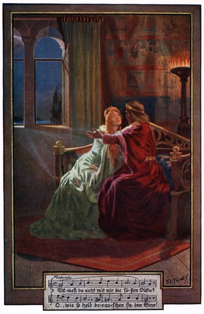 Il cavaliere cerca di placare i dubbi di Elsa, illustrazione da 