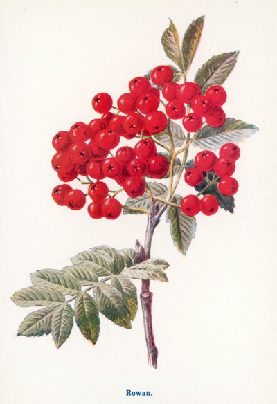  da Frederick Edward Hulme