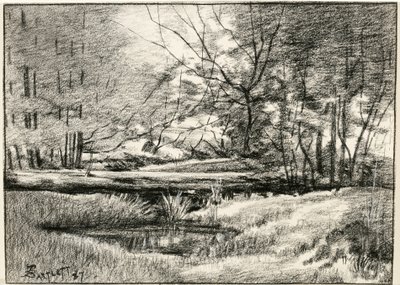 Piscina negli Adirondacks da Frederick Eugene Bartlett