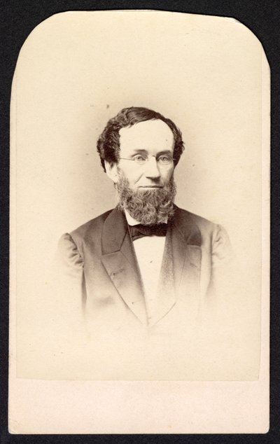 Ritratto di uomo non identificato, circa 1860s da Frederick Gutekunst