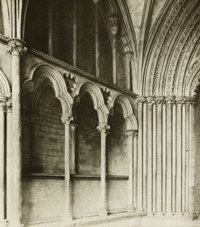 Cattedrale di Ely: Portico della Galilea, dettagli da Frederick H. Evans