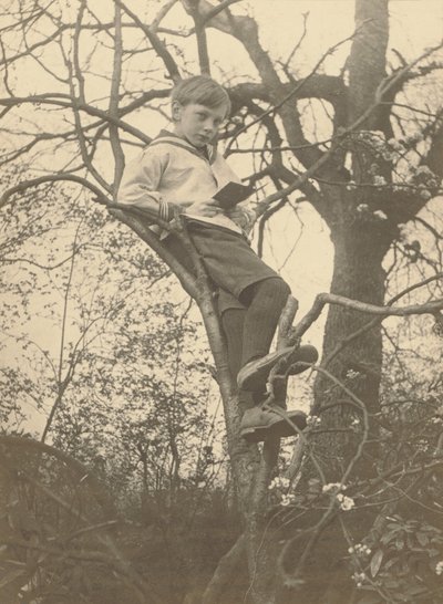 [Evan Evans] da Frederick H. Evans