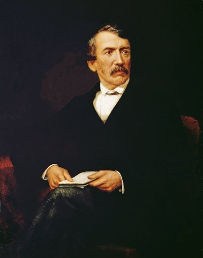 Ritratto di Livingstone (1813-1873) da Frederick Havill