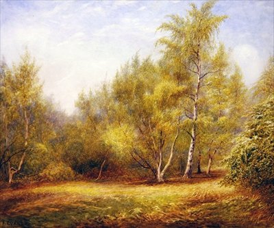 Foresta di Epping vicino a Buckhurst Hill da Frederick Henry Evans