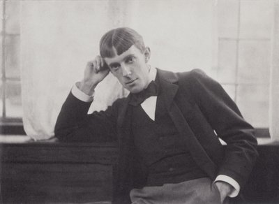 Ritratto fotografico di Aubrey Beardsley (1872-98) di Frederick Evans (1853-1943) da Frederick Henry Evans