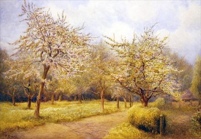 Alberi in fiore da Frederick Henry Evans