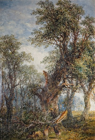 Il Ramo Spezzato da Frederick Henry Henshaw
