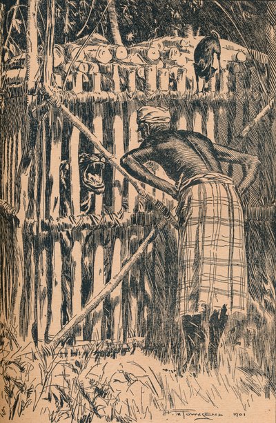 Illustrazione alle Favole e Racconti Popolari di Skeat da Una Foresta Orientale da Frederick Henry Townsend