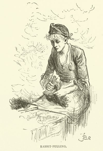 Tirando il coniglio da Frederick L. Bernard