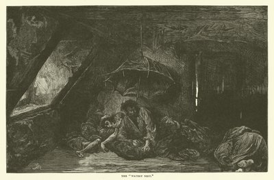 Il nido acquatico da Frederick L. Bernard