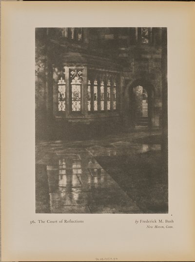 Il tribunale delle riflessioni da Frederick M. Bush