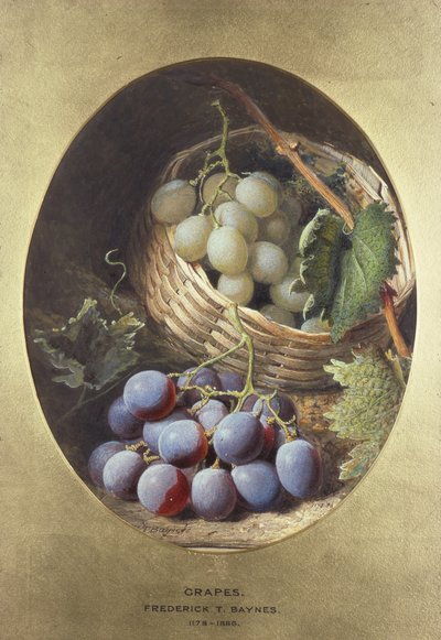 Uva rossa e bianca da Frederick Thomas Baynes