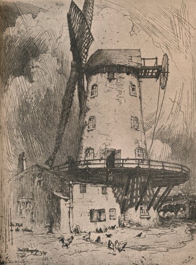 Il Mulino nel Wirral da Frederick Vango Burridge