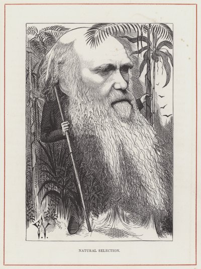 Charles Darwin, Selezione naturale da Frederick Waddy