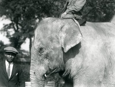 Un elefante birmano con il suo addestratore e un altro uomo, Zoo di Londra, settembre 1926 da Frederick William Bond