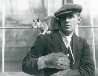 Un ratto gigante malgascio seduto sulla spalla del suo custode, Zoo di Londra da Frederick William Bond