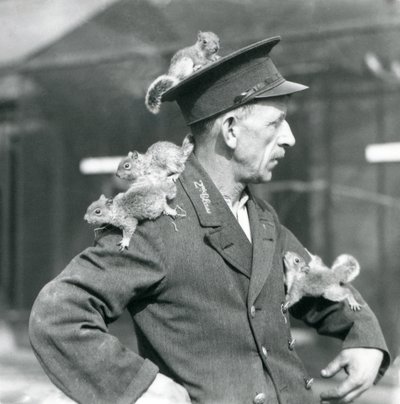 Un guardiano di seconda classe con quattro giovani scoiattoli grigi che gli salgono sul cappello e sulla giacca, zoo di Londra da Frederick William Bond