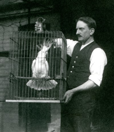 Un guardiano tiene un cacatua crestato zolfo, Jade, nella sua gabbia allo Zoo di Londra nell