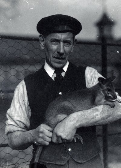 Un guardiano tiene un wallaby, ottobre 1920 da Frederick William Bond