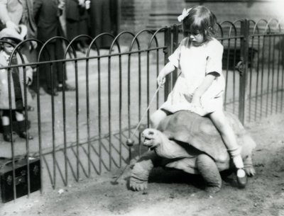 Una bambina, Betty, tiene un bastone con una mela all