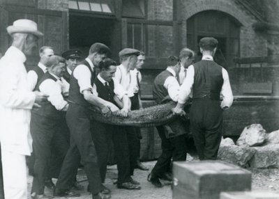 Una squadra di uomini trasporta un alligatore sorvegliato da Sir Peter Chalmers Mitchell, Zoo di Londra, 1924 da Frederick William Bond