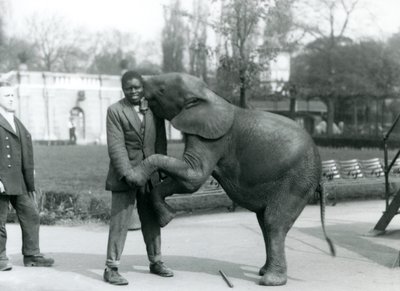 Un giovane elefante pigmeo africano si alza sulle zampe posteriori per abbracciare il suo addestratore africano, mentre il custode osserva, Zoo di Londra, luglio 1925 da Frederick William Bond