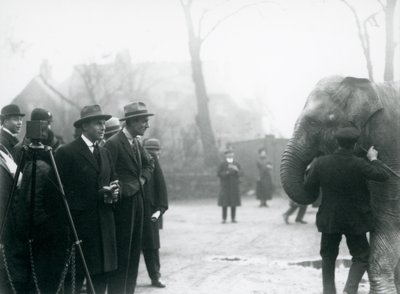 Un elefante indiano, forse Sundermalah, che partecipa a una trasmissione esterna dallo Zoo di Londra, 1925 da Frederick William Bond