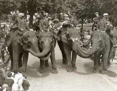 Giri in elefante allo zoo di Londra, luglio 1936 da Frederick William Bond