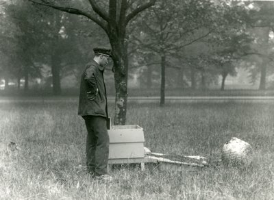 Il Custode Brown che sposta uno sciame di api, Zoo di Londra, luglio 1926 da Frederick William Bond