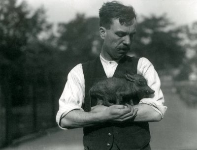 Il guardiano Harry Warwick culla un piccolo facocero tra le braccia allo Zoo di Londra, agosto 1922 da Frederick William Bond