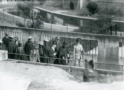 Sir Peter Chalmers Mitchell, con il reggente etiope Haile Selassie e il suo entourage, osservando un orso bruno sulle terrazze Mappin, Zoo di Londra, 1924 da Frederick William Bond
