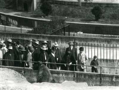 Sir Peter Chalmers Mitchell, con il reggente etiope Haile Selassie e il suo entourage, osservando un orso bruno sulle terrazze Mappin, Zoo di Londra, 1924 da Frederick William Bond