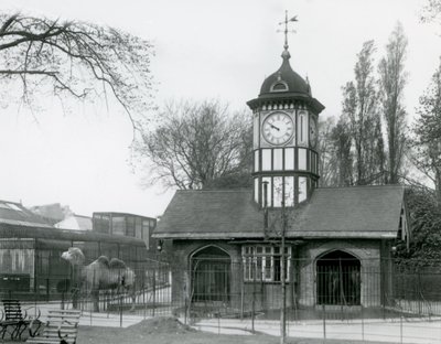 La Casa dei Cammelli, Zoo di Londra da Frederick William Bond