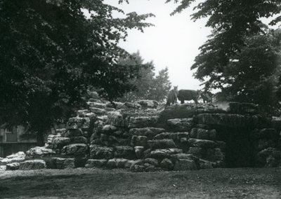 Il recinto degli Eland al London Zoo, giugno 1924 da Frederick William Bond