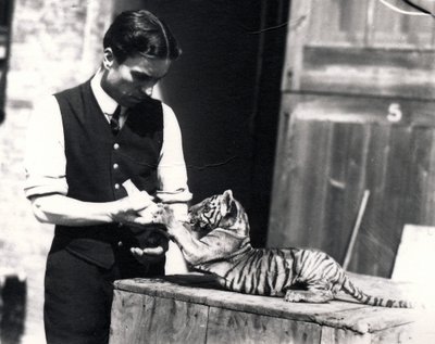 Cucciolo di tigre nutrito dal guardiano Harry Warwick, 1914 da Frederick William Bond