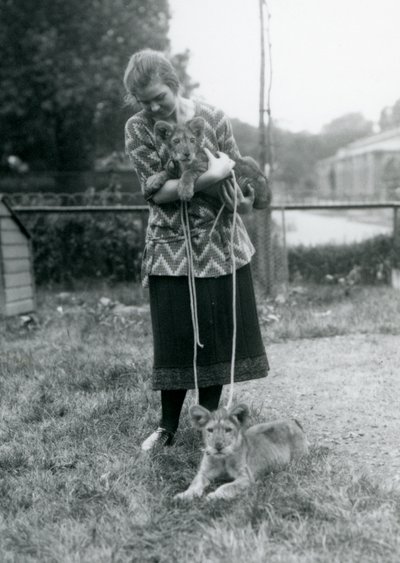 Due cuccioli di leone con una giovane donna allo Zoo di Londra, agosto 1925 da Frederick William Bond