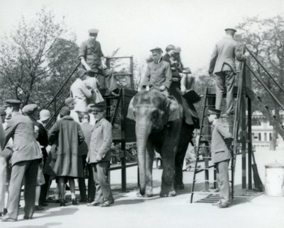 Visitatori in fila per un giro in elefante mentre altri si imbarcano, con l