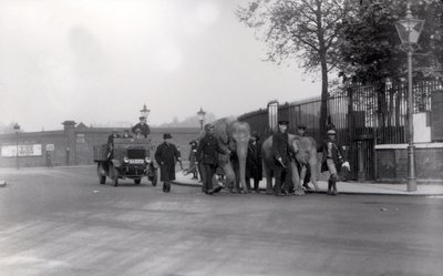 Passeggiando una coppia di elefanti dai moli allo ZSL London Zoo nel 1923, l
