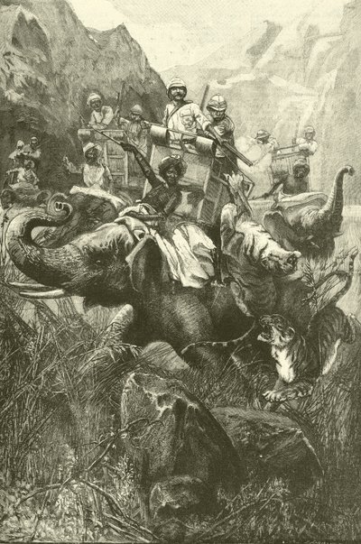 Caccia alla tigre in India da Frederick William Burton
