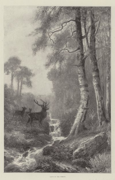 Alba nella foresta da Frederick William Hayes