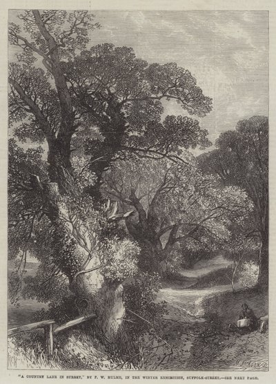 Una strada di campagna nel Surrey da Frederick William Hulme