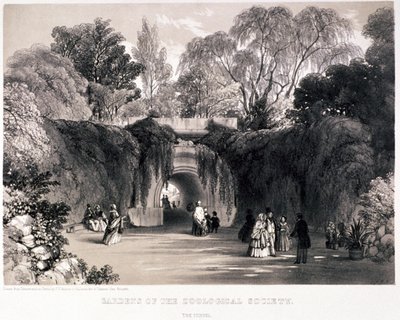 Giardini zoologici, Regent