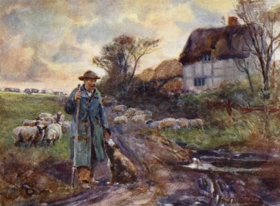Broom mendicante da Frederick William Newton Whitehead