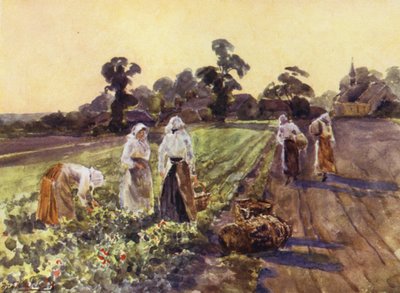 Schivare Exhall da Frederick William Newton Whitehead