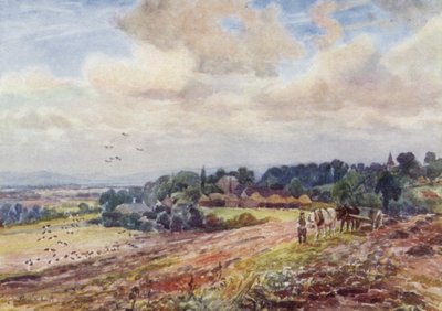 Grafton affamato da Frederick William Newton Whitehead