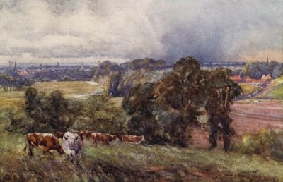 Leamington e Warwick dalle Colline Campion da Frederick William Newton Whitehead