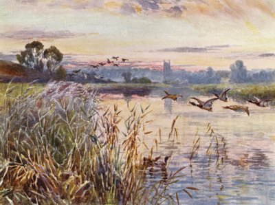 Salford Priors da Frederick William Newton Whitehead