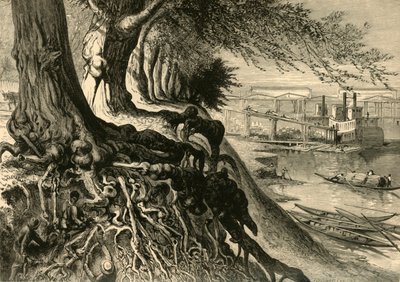 Il Savannah, ad Augusta da Frederick William Quartley