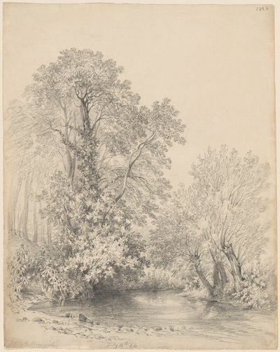Alberi lungo il fiume a Castle Bromwich da Frederick William Watts