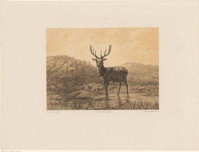 Cervo nel paesaggio da Frederik Hendrik Weissenbruch